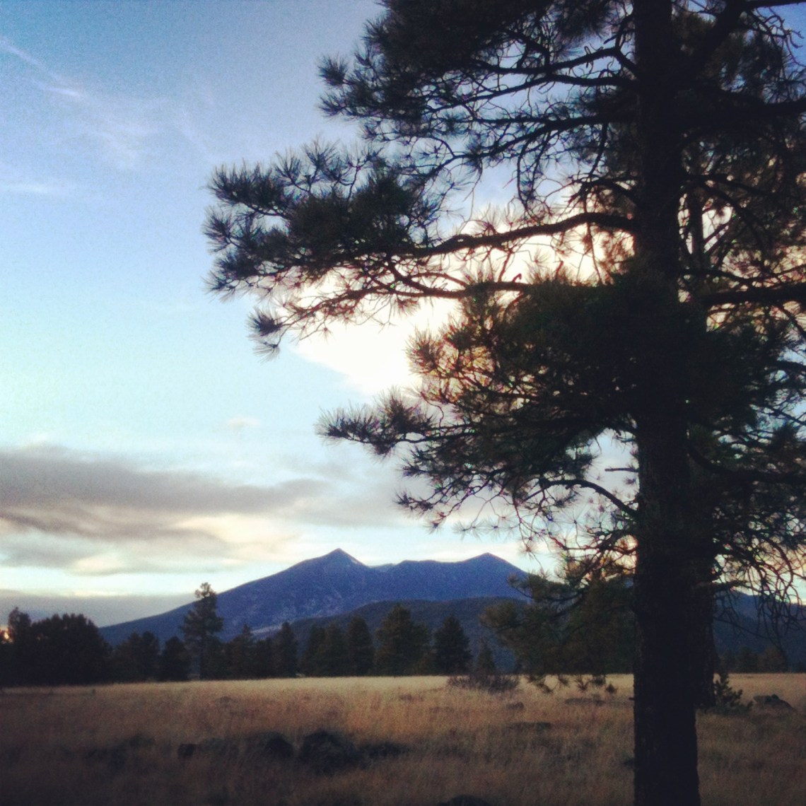 Walkin' In Flagstaff (c) 2014 Holly Troy