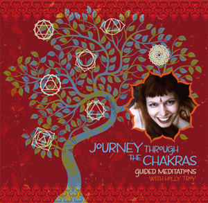 Journey through the Chakras: Creative Visualization Meditation cd cover