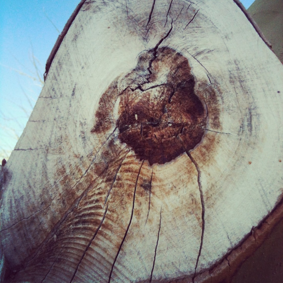 Blink (c) Holly Troy 2013