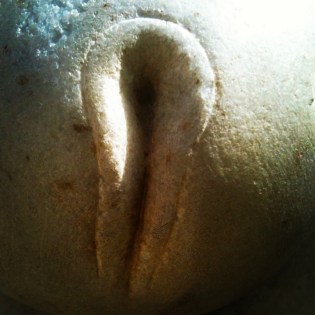 Yin © Holly Troy 2013