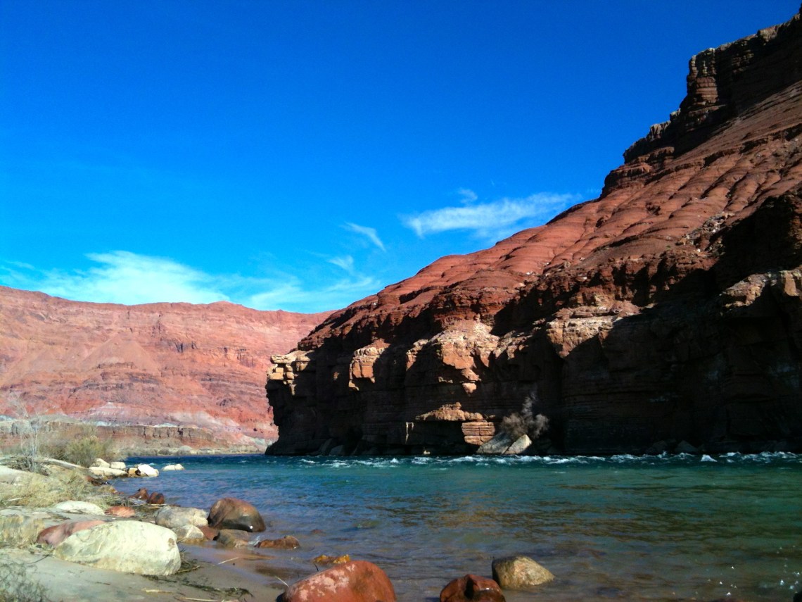 Blue in Red (c) Holly Troy 2014