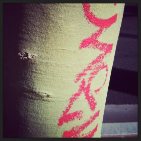 tree writing (c) Holly Troy 2013