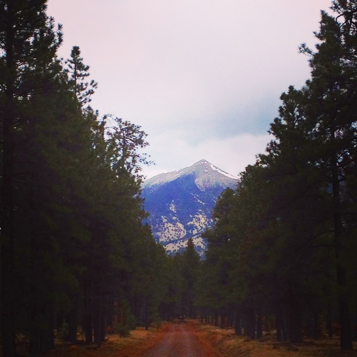 Schulz Creek Road and Peak (c) 2015 Holly Troy