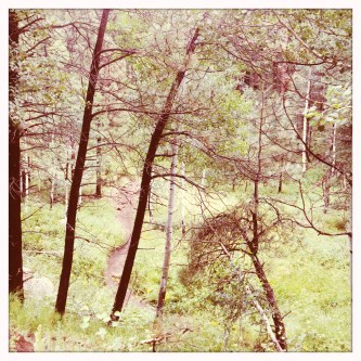 favorite places (c) Holly Troy 2015