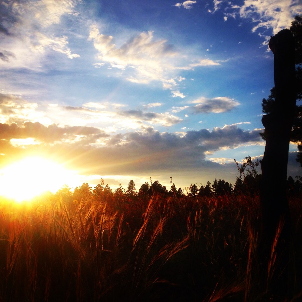 Sunset with Healing Heart at Forbidden Meadow (c) Holly Troy 2015