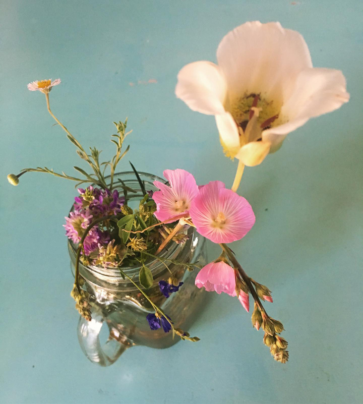 he picks me a flower every day .Blog © 2019 Holl ytroy