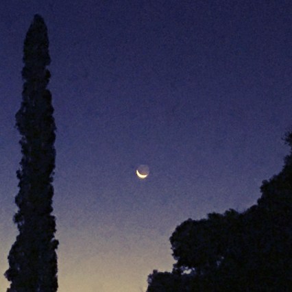 birthday morning moon december 24 2019 © Holly Troy 2019