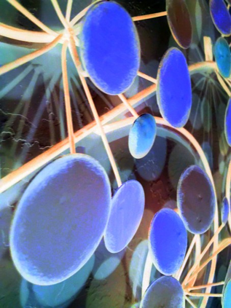 cosmic bubbles II blog © Holly Troy 2019