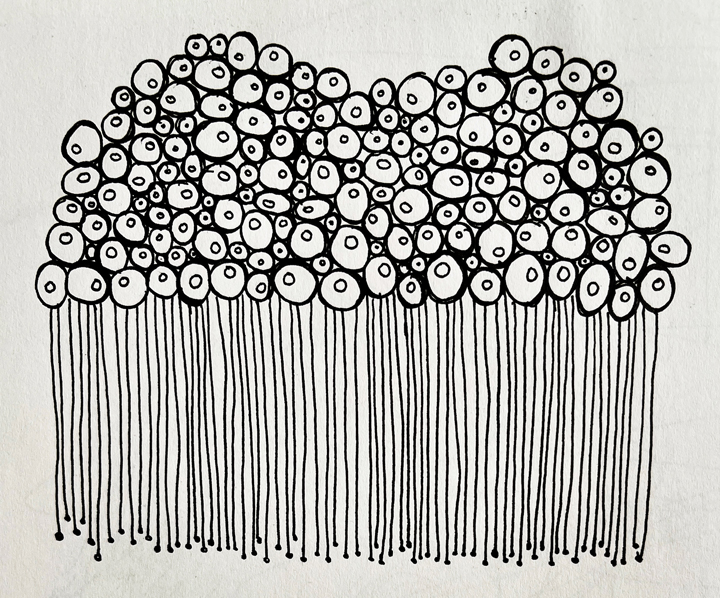 B field of flowers © Holly Troy 1998