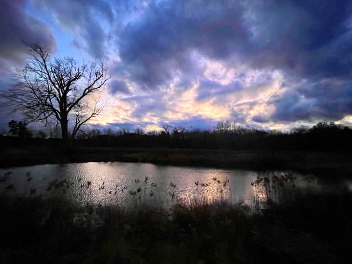 pool b © Holly troy 2022