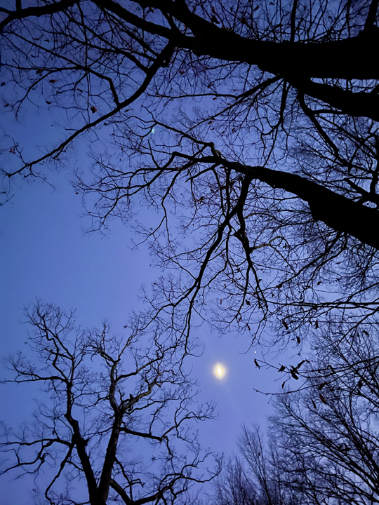 moon and jupiter in aries b © Holly Troy 12.29.22