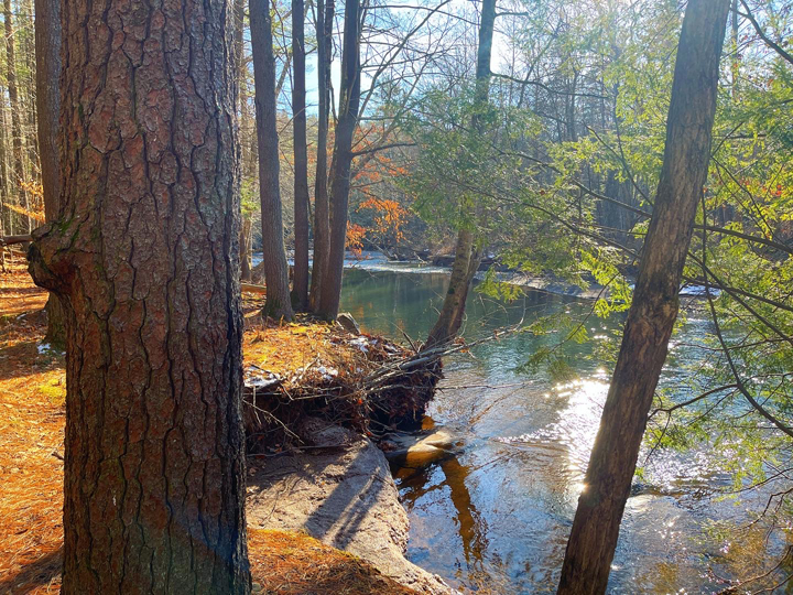 river solstice b © Holly Troy 12.21.2022