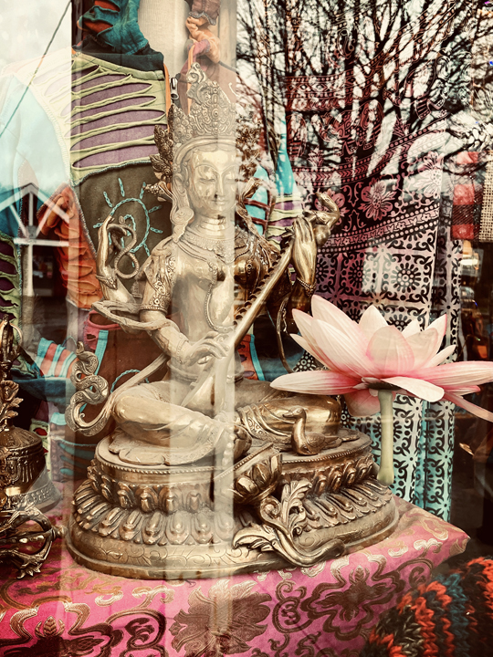 saraswati-in-the-window-b-c2a9-holly-troy-12.2022