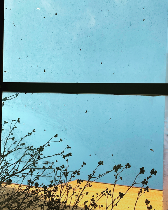 sky light crescent moon b © Holly Troy 12.2022