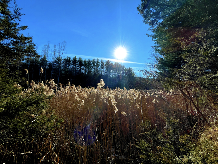 Solstice 2022-33 horizon b © Holly Troy 12.21.2022