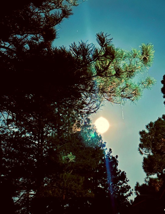 Gemini Full Moon Setting © Holly Troy 11.27.23