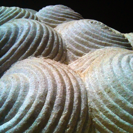 spiral-2 © Holly Troy 2013